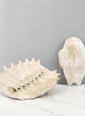 中古侘寂风龟壳化石树脂摆件