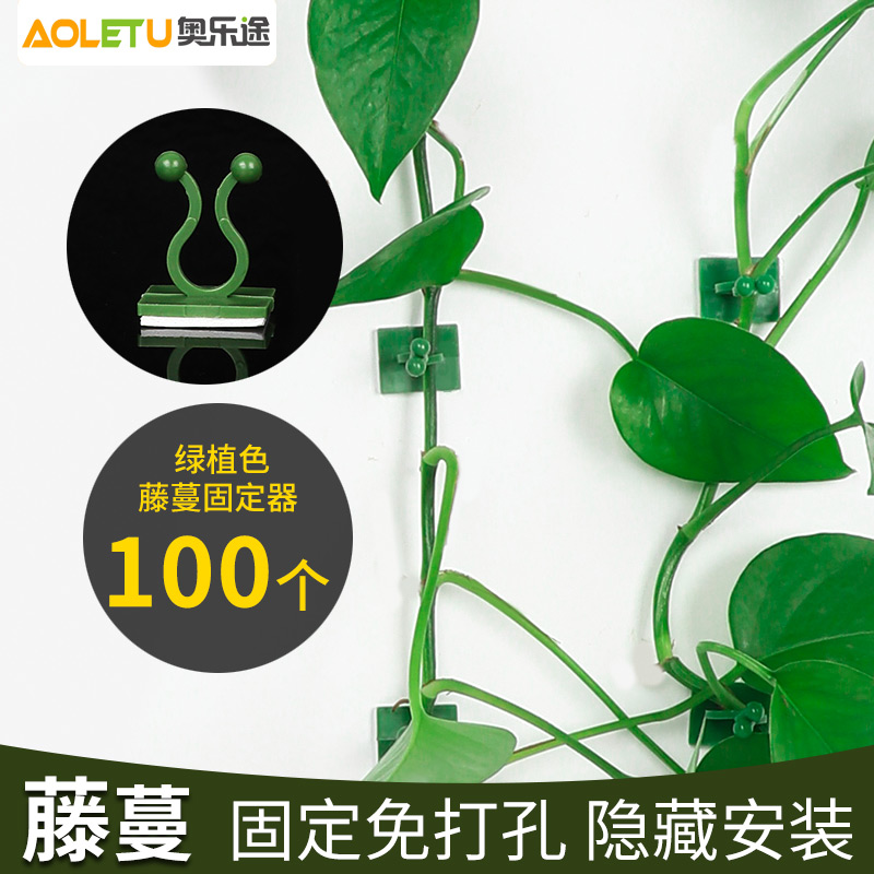 绿萝强力粘爬藤杆固定器
