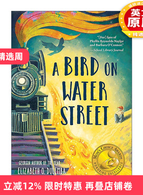 英文原版 A Bird on Water Street 水街上的鸟儿 绿色地球图书奖 儿童历史小说 伊丽莎白·O.杜兰巴 英文版 进口英语原版书籍