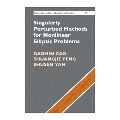 英文原版 Singularly Perturbed Methods for Nonlinear Elliptic Problems 用于非线性椭圆问题的奇异摄动法 精装 进口英语书籍