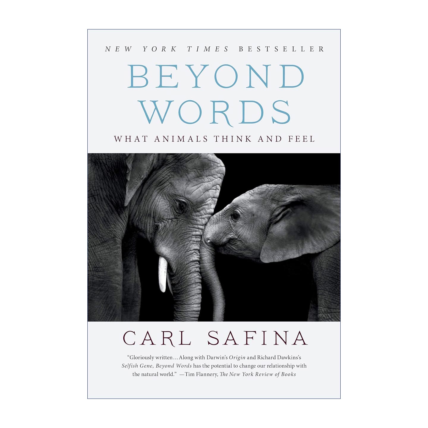 英文原版 Beyond Words 无言的呼唤 动物的感知 思考和表达 生态学家Carl Safina 英文版 进口英语原版书籍