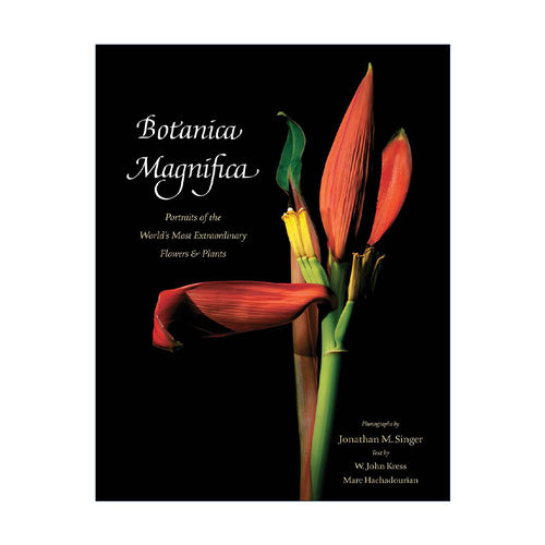 英文原版 Botanica Magnifica 壮丽植物肖像 非凡的花卉和植物的肖像 精装画册 英文版 进口英语原版书籍