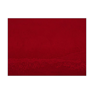 英文原版 Eduardo Nave Normandie 爱德华多·内夫摄影集 诺曼底 庆祝诺曼底登陆75周年 精装艺术图册 英文版 进口英语原版书籍