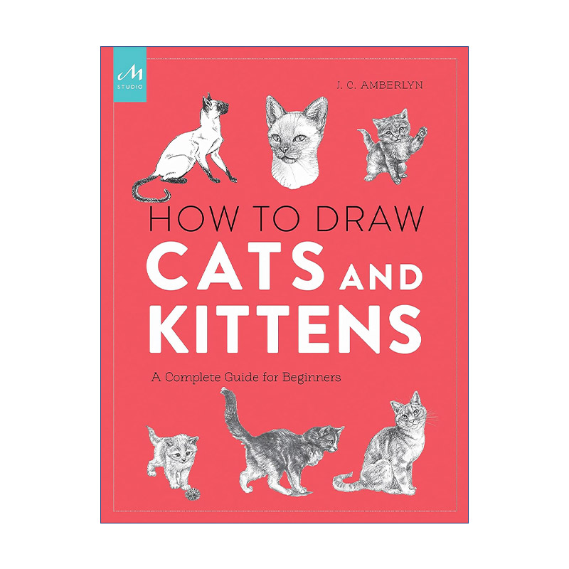 英文原版 How to Draw Cats and Kittens 初学者的猫咪绘画指南 J. C. Amberlyn铅笔钢笔画技巧指南 英文版 进口英语原版书籍