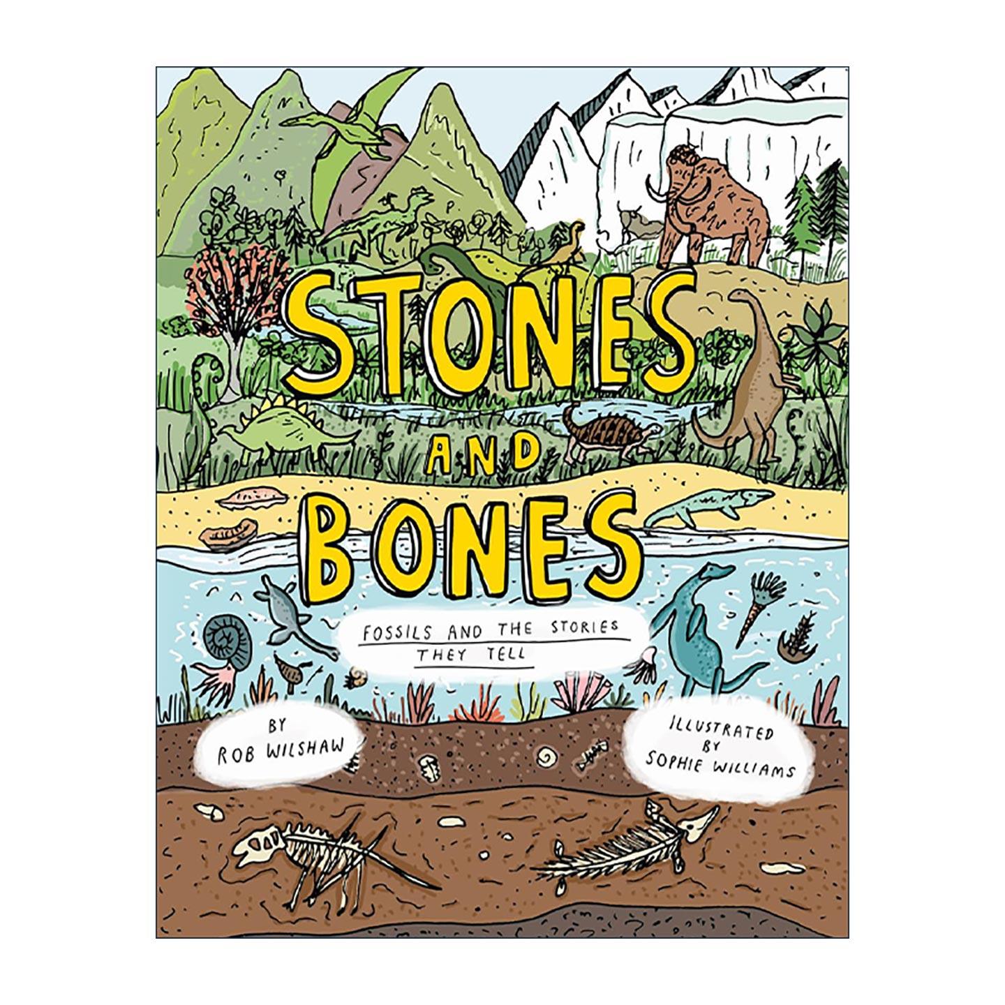英文原版 Stones and Bones Fossils and the Stories They Tell 藏在化石中的历史 儿童自然科学科普百科精装绘本 英文版