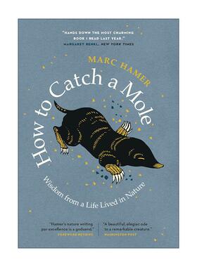 英文原版 How to Catch a Mole 如何捉鼹鼠 大自然生活的智慧 传记 Marc Hamer 英文版 进口英语原版书籍