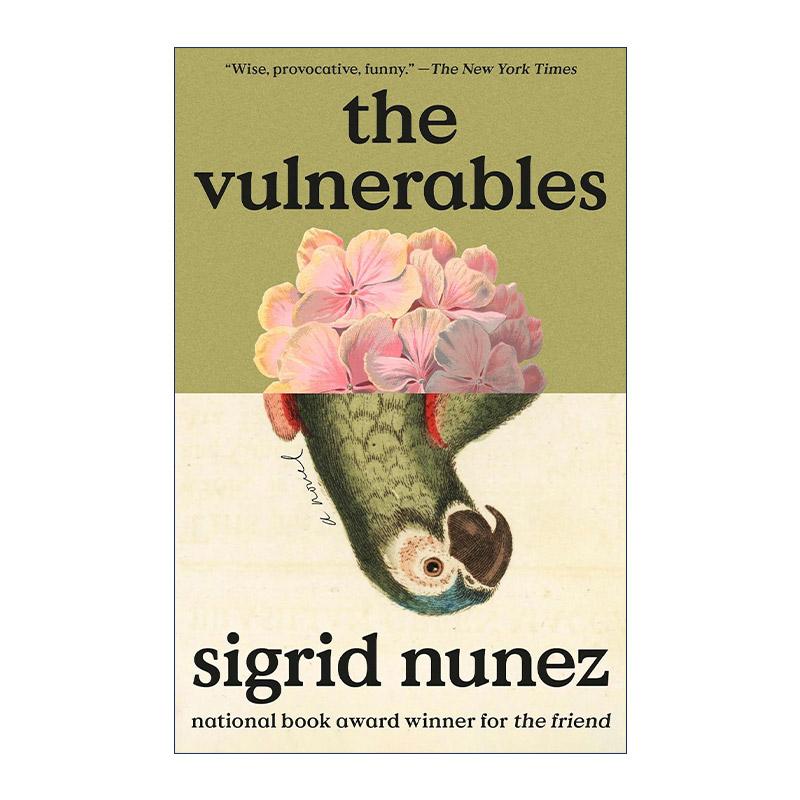 英文原版 The Vulnerables 脆弱者 我的朋友阿波罗作者西格丽德·努涅斯 女性小说 英文版 进口英语原版书籍