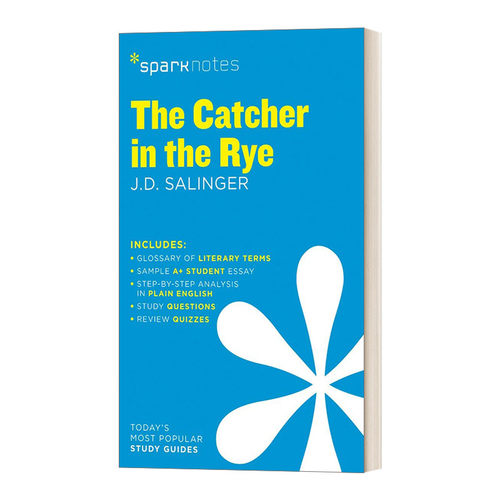 英文原版 Catcher in the Rye SparkNotes Literature Guide 文学导读系列 麦田里的守望者 英文版 进口英语原版书籍