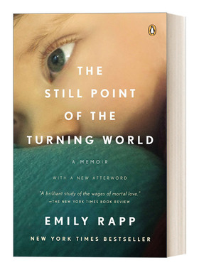 英文原版 The Still Point of the Turning World 旋转的世界的静点 电影和摄影之间 Emily Rapp Black 英文版 进口英语原版书籍