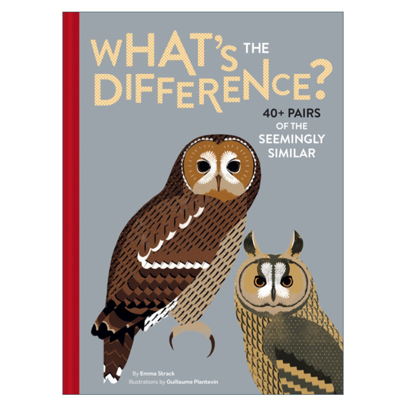 英文原版 What's the Difference? 区别在哪里？40对相似物 英文版 进口英语原版书籍