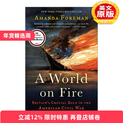 英文原版 A World on Fire 燃烧的世界 英国在美国内战中的关键作用 历史 Amanda Foreman 英文版 进口英语原版书籍