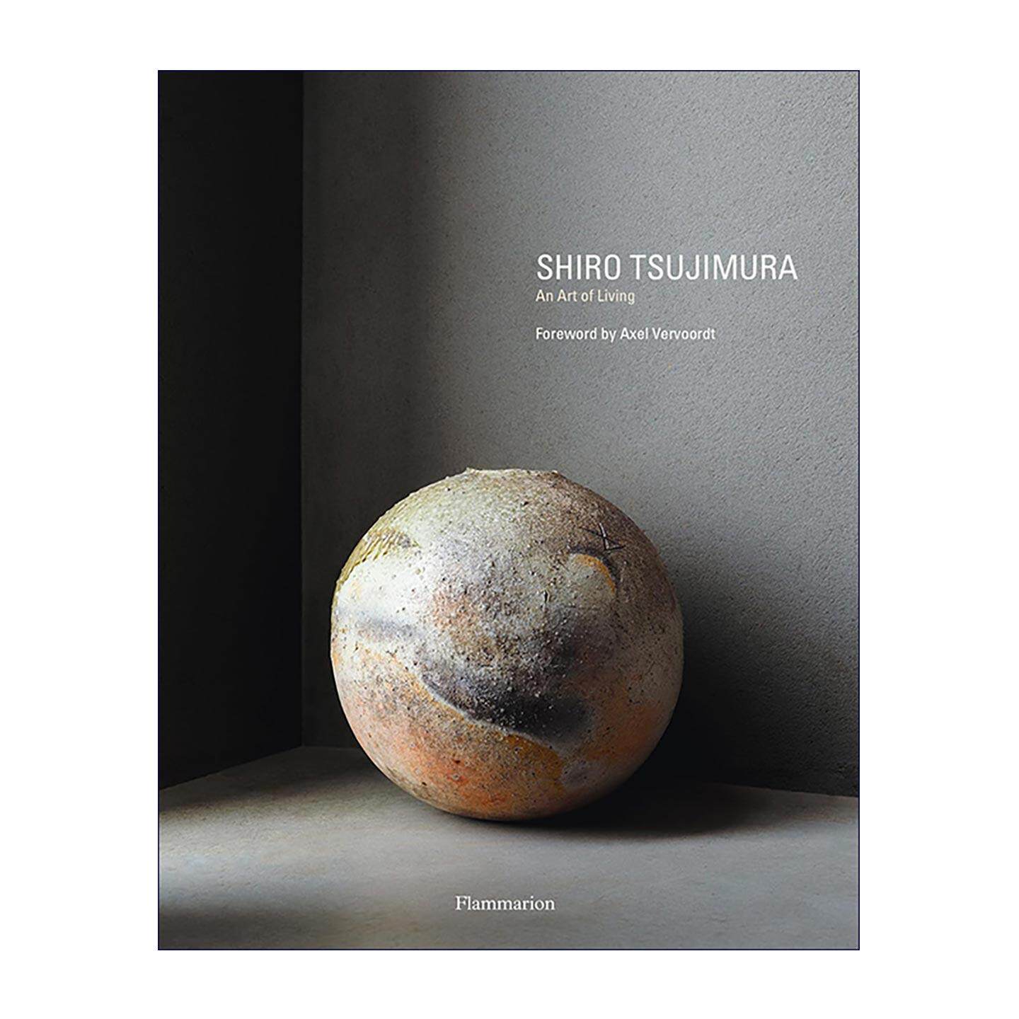 英文原版 Shiro Tsujimura 辻村史朗 陶艺与绘画 日本陶艺家设计集精装 英文版 进口英语原版书籍