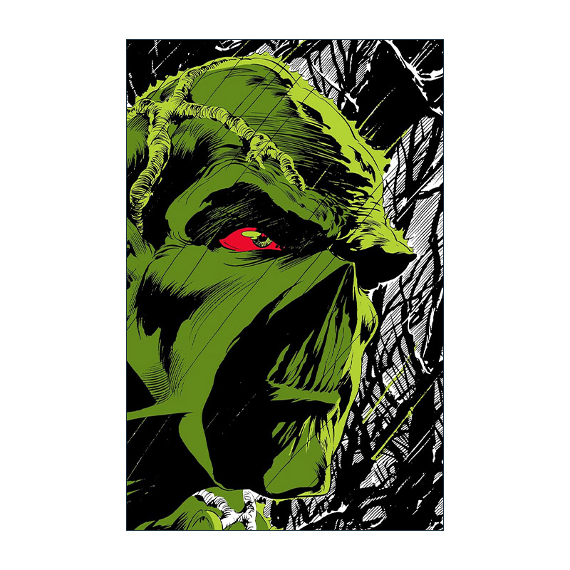 英文原版 Absolute Swamp Thing by Len Wein and Bernie Wrightson 沼泽怪物绝对版 DC漫画 精装收藏版 英文版 进口英语原版书籍
