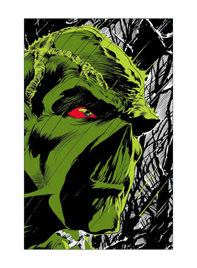 英文原版 Absolute Swamp Thing by Len Wein and Bernie Wrightson 沼泽怪物绝对版 DC漫画 精装收藏版 英文版 进口英语原版书籍
