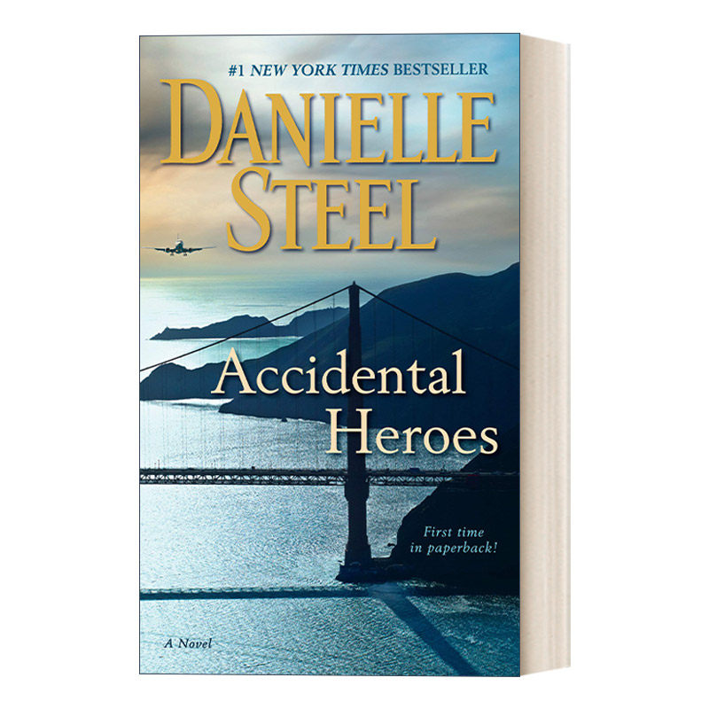 英文原版小说 accidental heroes 意外的英雄 danielle steel 英文版