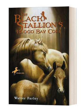 英文原版 The Black Stallion's Blood Bay Colt 黑神驹系列 黑神驹的血湾小马 Walter Farley 小说 英文版 进口书籍