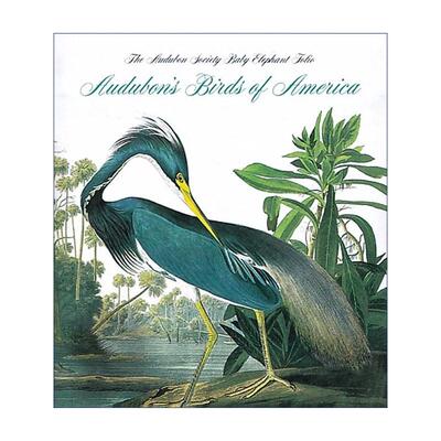 英文原版 Audubon's Birds of America 奥杜邦的鸟类 精装 英文版 进口英语原版书籍