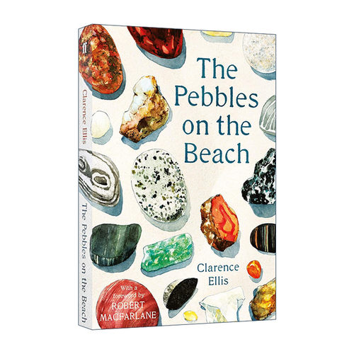 英文原版 The Pebbles on the Beach 沙滩寻宝指南 Clarence Ellis 罗伯特·麦克法伦作序 英文版 进口英语原版书籍