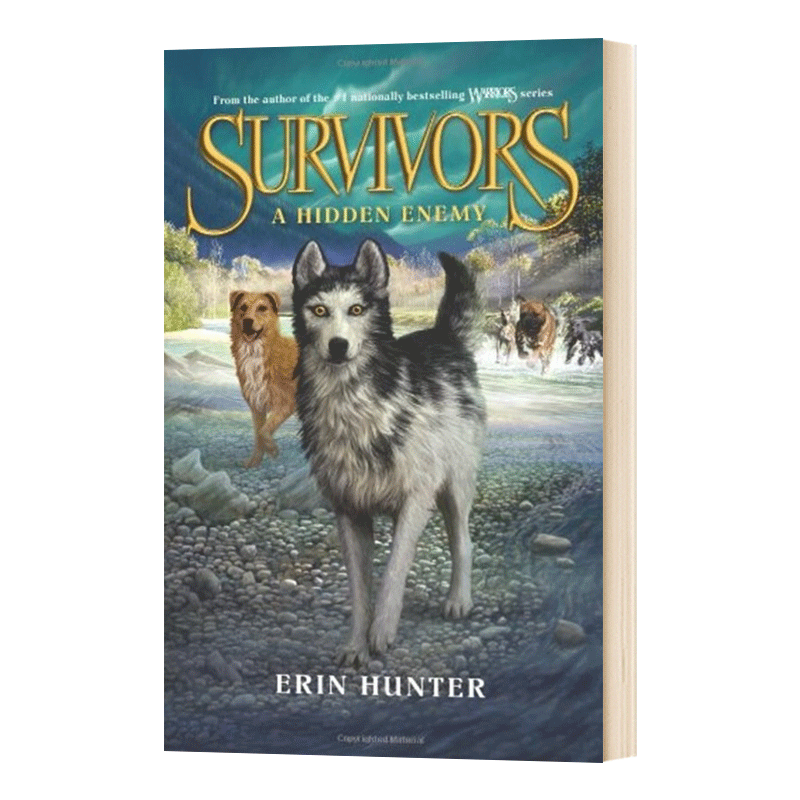 英文原版 Survivors 2 A Hidden Enemy幸存者系列2 隐藏的敌人 英文版儿童全英语书