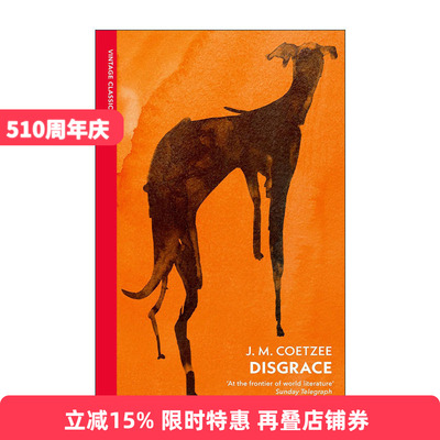 英文原版 Disgrace 耻 JM库切 企鹅Vintage红脊经典系列 英文版 进口英语原版书籍