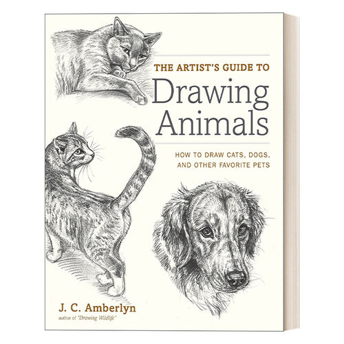 英文原版动物绘画技巧指南