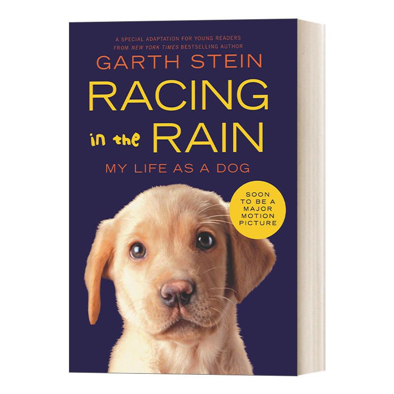 英文原版 Racing in the Rain My Life as a Dog 我在雨中等你 青少版 加思 斯坦 Garth Stein 治愈系小说 英文版 进口英语书籍