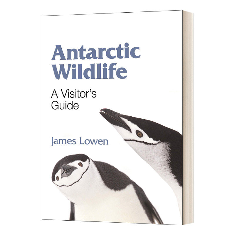 英文原版 Antarctic Wildlife 南极野生动物 英文版 进口英语原版书籍