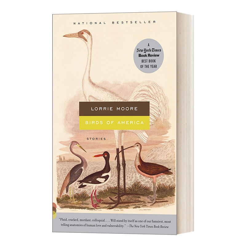 英文原版小说 Birds of America Stories 美国鸟人 纽约时报年度好书 美国国家书评人协会奖入围 Lorrie Moore 英文版 进口英语书