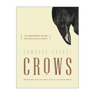 重新认识鸟类世界 智者 进口英语原版 Crows 书籍 英文版 乌鸦简史 Savage 英文原版 Candace