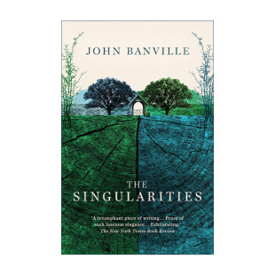 英文原版 The Singularities 奇点 布克奖作家约翰·班维尔历时五年新作 英文版 进口英语原版书籍
