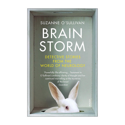 英文原版 Brainstorm 头脑风暴 来自神经科学界的侦探小说 苏珊娜·奥沙利文 英文版 进口英语原版书籍