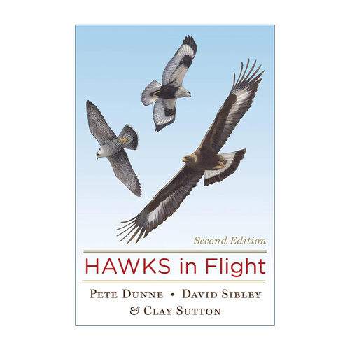 英文原版 Hawks in Flight 飞行中的鹰 第2版 精装 英文版 进口英语原版书籍