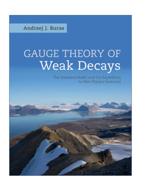 英文原版 Gauge Theory of Weak Decays 弱衰变规范场论 Andrzej J. Buras 精装 英文版 进口英语原版书籍
