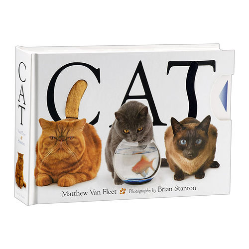 英文原版 Matthew Van Fleet CAT 猫 纸板触摸操作书 立体书绘本 趣味启蒙认知系列动物 英文版 进口英语原版书籍儿童全英语书