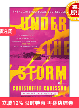 英文原版 Under the Storm 风暴之下 推理悬疑小说 Christoffer Carlsson 英文版 进口英语原版书籍