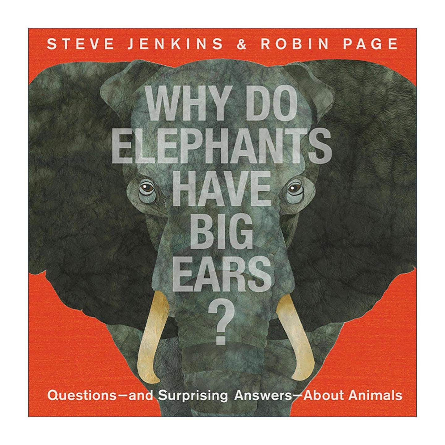英文原版 Why Do Elephants Have Big Ears 为什么大象有大耳朵 精装科普 英文版 进口英语原版书籍