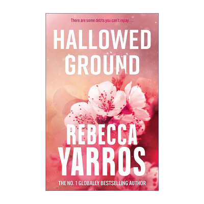 英文原版 Hallowed Ground 神圣的土地 飞行与荣耀4 Flight & Glory 国际流行浪漫爱情小说 四旋翼作者 英文版 进口英语原版书籍