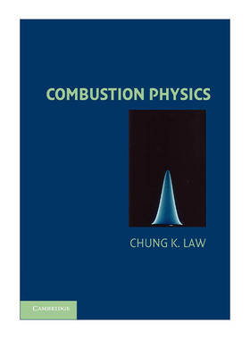 英文原版 Combustion Physics 燃烧物理学 Chung K. Law 英文版 进口英语原版书籍