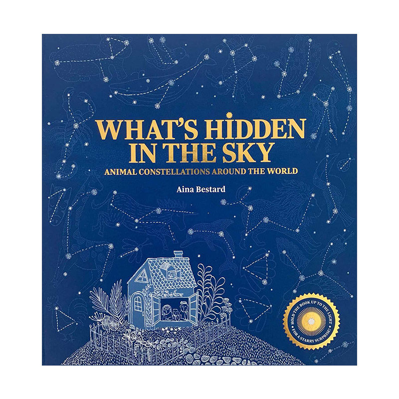 英文原版 What's Hidden in the Sky 夜空中隐藏着什么 互动式可透光设计 纸板翻翻书 西班牙插画师Aina Bestard 进口英语原版书籍