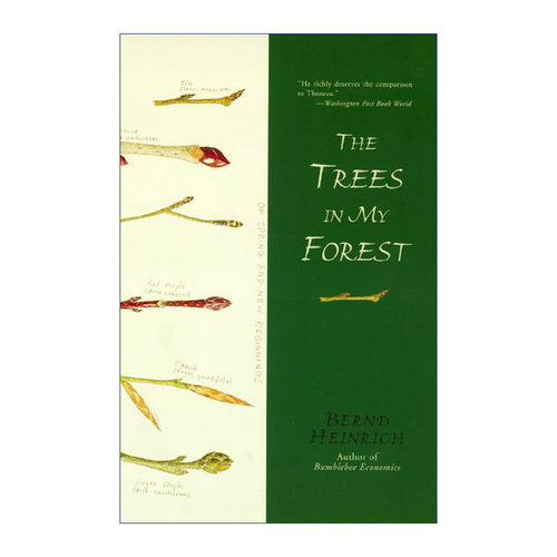 英文原版 The Trees in My Forest 森林的故事 英格兰图书奖 费尔班克斯博物馆奖 佛蒙特大学生物系教授 英文版 进口书籍