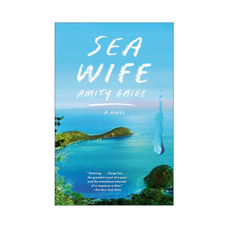 英文原版 Sea Wife 海妻 马克吐温奖短名单 家庭生活小说 Amity Gaige 英文版 进口英语原版书籍