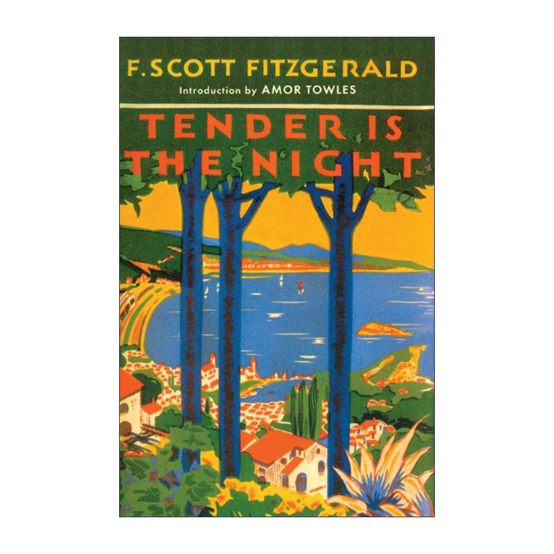 英文原版 Tender Is the Night 夜色温柔 菲茨杰拉德 英文版 进口英语原版书籍