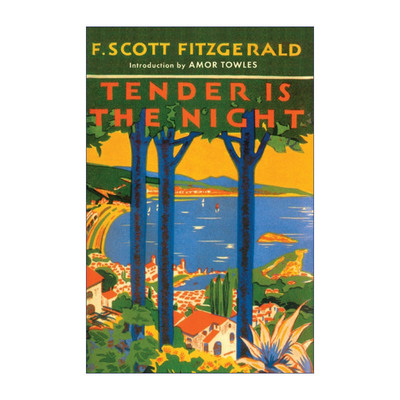 英文原版 Tender Is the Night 夜色温柔 菲茨杰拉德 英文版 进口英语原版书籍