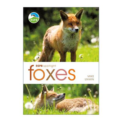 英文原版 RSPB Spotlight Foxes 狐狸之书 英国皇家鸟类保护协会聚焦系列 英文版 进口英语原版书籍