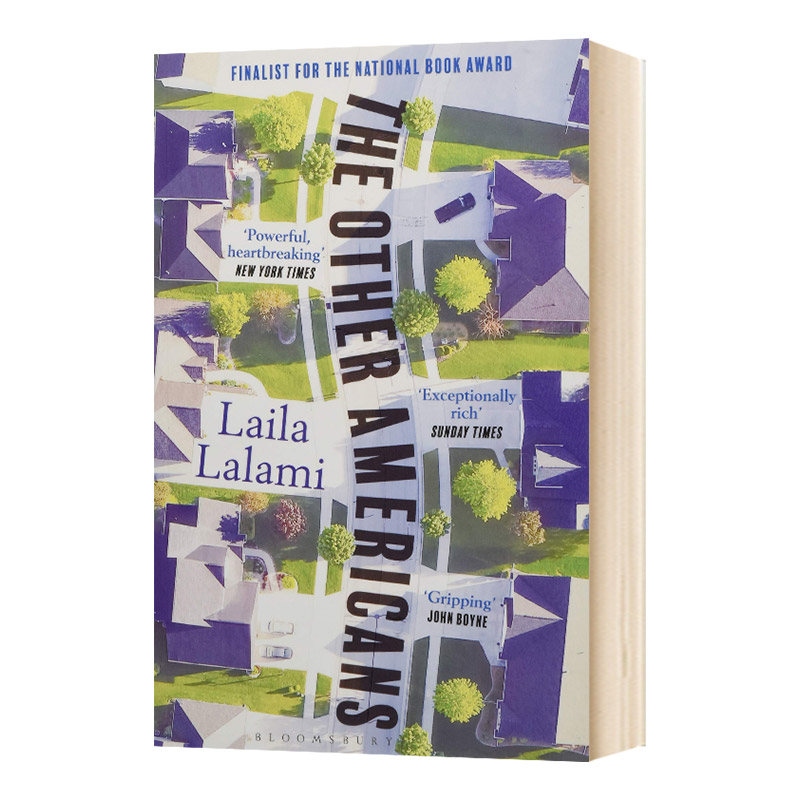 另一群美国人 英文原版小说 other americans 英文版进口原版英语书籍