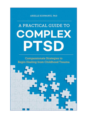 英文原版 A Practical Guide to Complex PTSD 创伤应激障碍实用指南 英文版 进口英语原版书籍