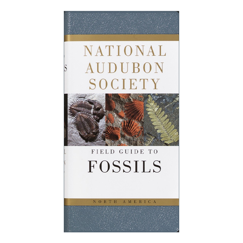 英文原版 National Audubon Society Field Guide to North American Fossils 全美奥杜邦协会北美化石野外指南 英文版 进口书籍