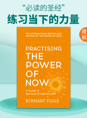 英文原版 Practising The Power Of Now 练习当下的力量 英文版 进口英语原版书籍
