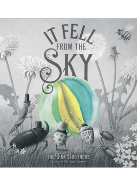 英文原版 It Fell From The Sky 来自天空的你 儿童英文绘本 英文版 进口英语原版书籍