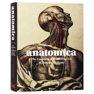 解剖学 人体解剖学精美艺术 英文原版 Anatomica 医学手稿插画册 探索人体解剖学 全英文版 进口原版英语书籍